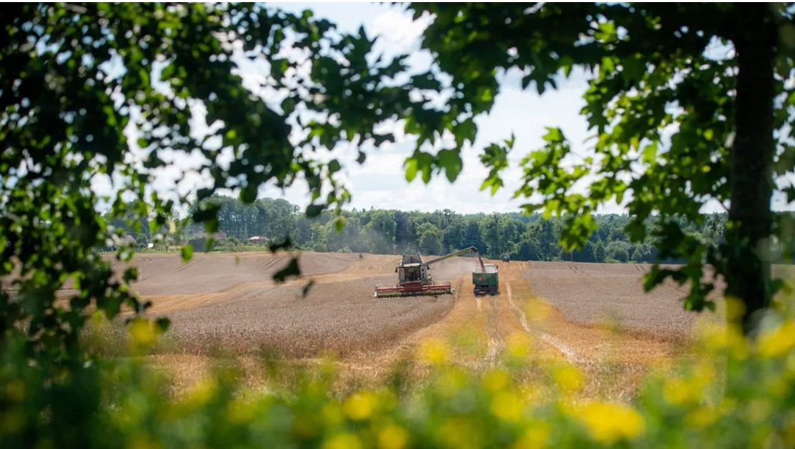 Ba Lan đã trở thành cường quốc nông nghiệp mới của châu Âu như thế nào?